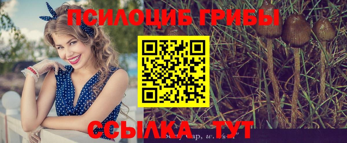 Галлюциногенные грибы Psilocybine cubensis  Вход с VPN  Заринск 